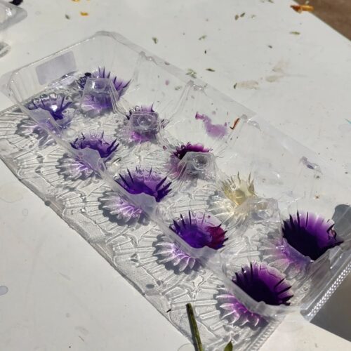 花の色水-Instagram